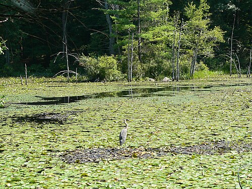 Great Brook Farm State Park